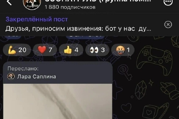 В МВД опровергли родство полицейской и заводчицы погибших далматинцев