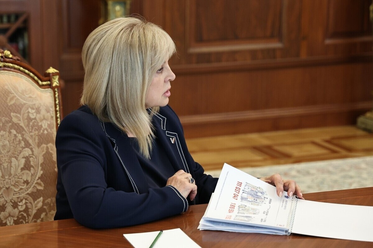 Памфилова сообщила о массовых атаках на избирательную систему