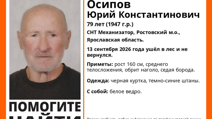В Ярославской области неделю ищут 79-летнего грибника