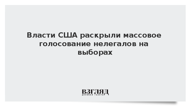 Глава МВБ сообщил о расследовании 1,6 тыс. случаев голосования неграждан