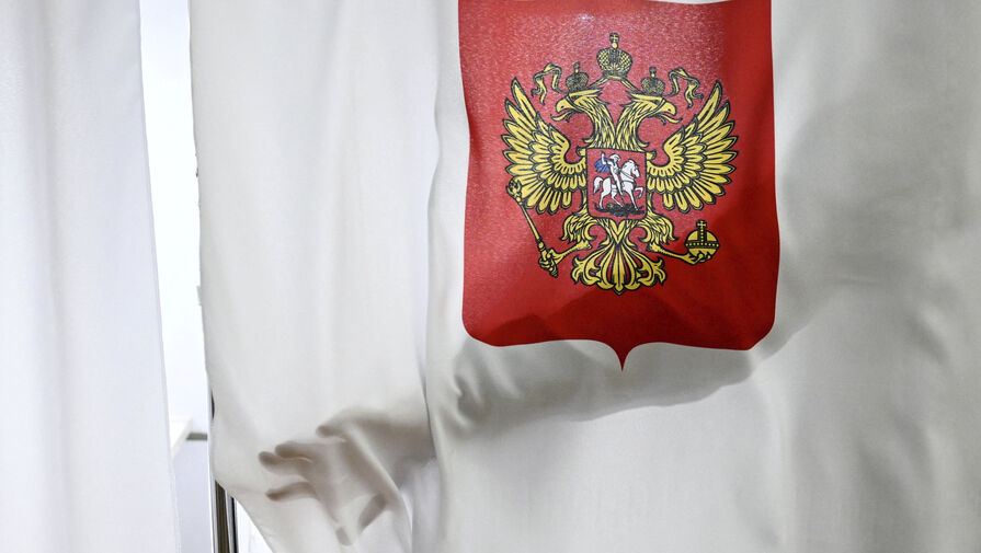 В Курской области на одном из избирательных участков жителей встречает кот Тони