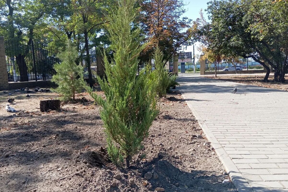 Погода на Запорожье 19-20 сентября: Ночная прохлада сменится солнцем и теплом