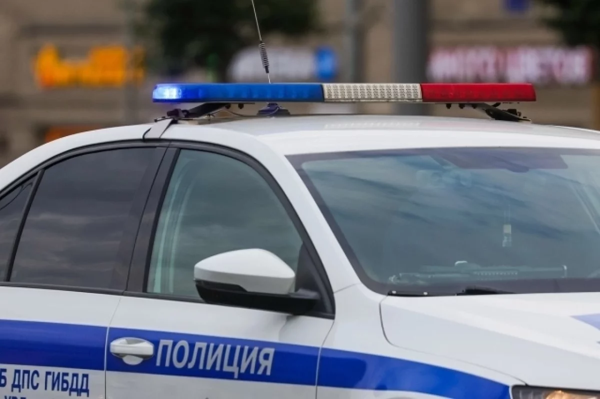 В Твери МВД проверит инцидент с применением силы к укравшей сыр женщине