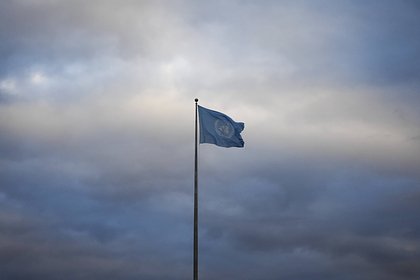 Экс-посол назвал утратившую свой потенциал мировую организацию