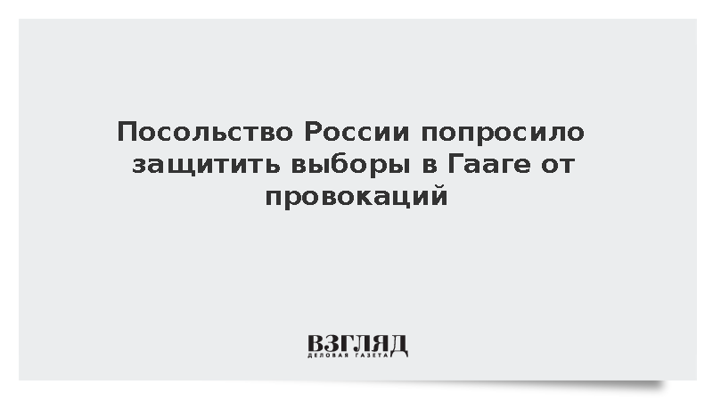 Посол России призвал Нидерланды предотвратить беспорядки на выборах в Госдуму