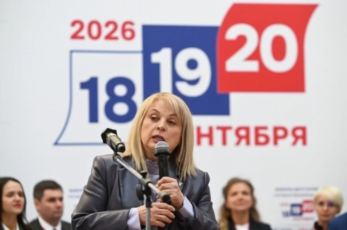 Памфилова: более 3,3 млн человек проголосовали на выборах онлайн