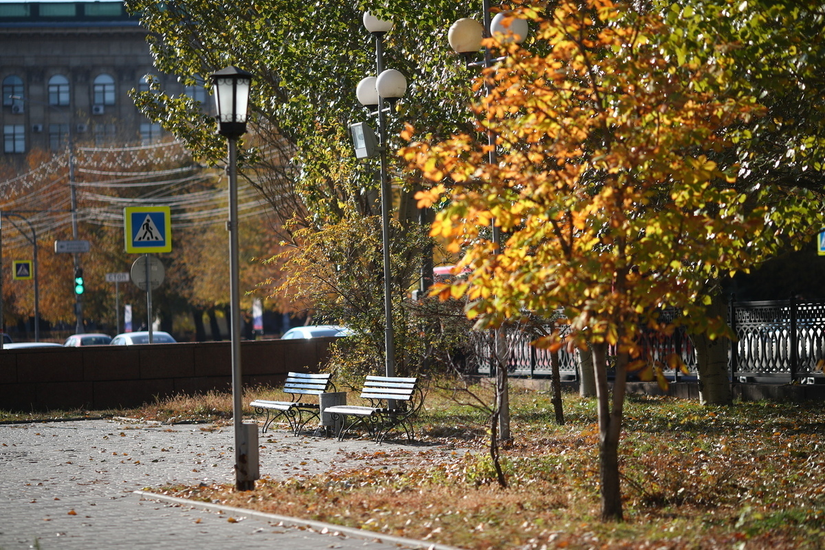 В Волгоградской области около 300 соцработников прошли обучение