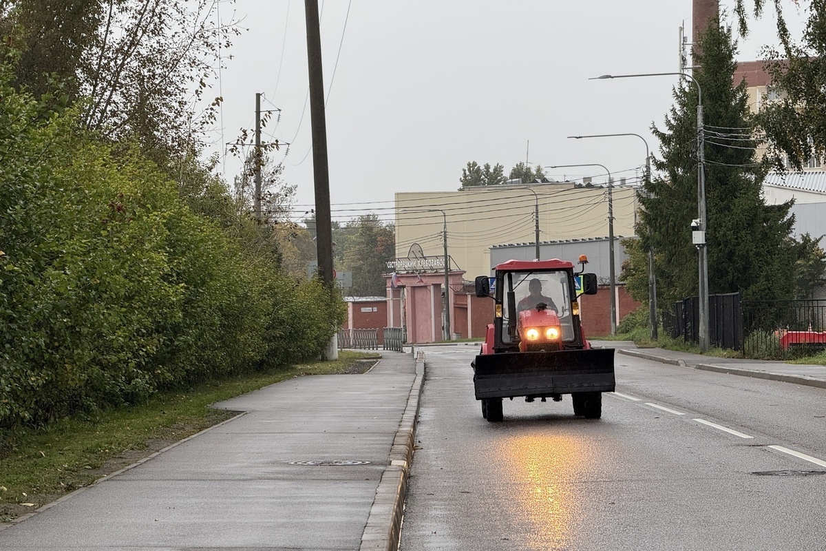 Тракторист в Петербурге воспользовался технологическим перерывом для голосования