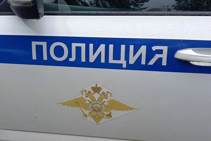 В российском регионе собака напала на школьника