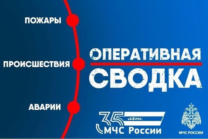 За сутки в Смоленской области ликвидировали два пожара