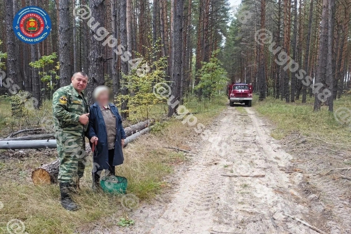 В Чаплыгинском округе спасатели нашли заблудившуюся в лесу пенсионерку