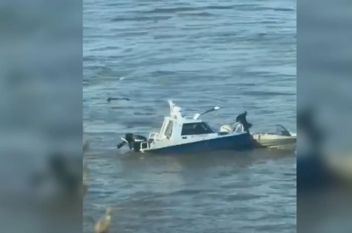 На Амуре мужчину затянуло под винты катера во время погони