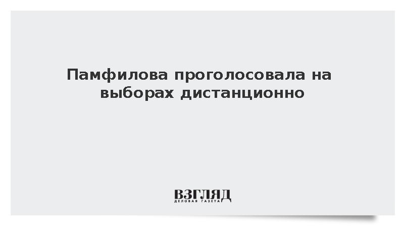 Памфилова проголосовала на выборах дистанционно