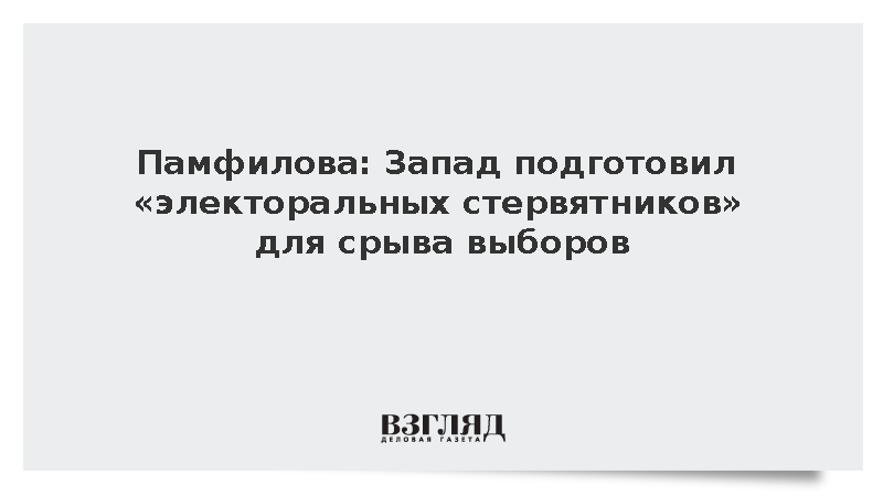 Памфилова: Запад подготовил «электоральных стервятников» для срыва выборов