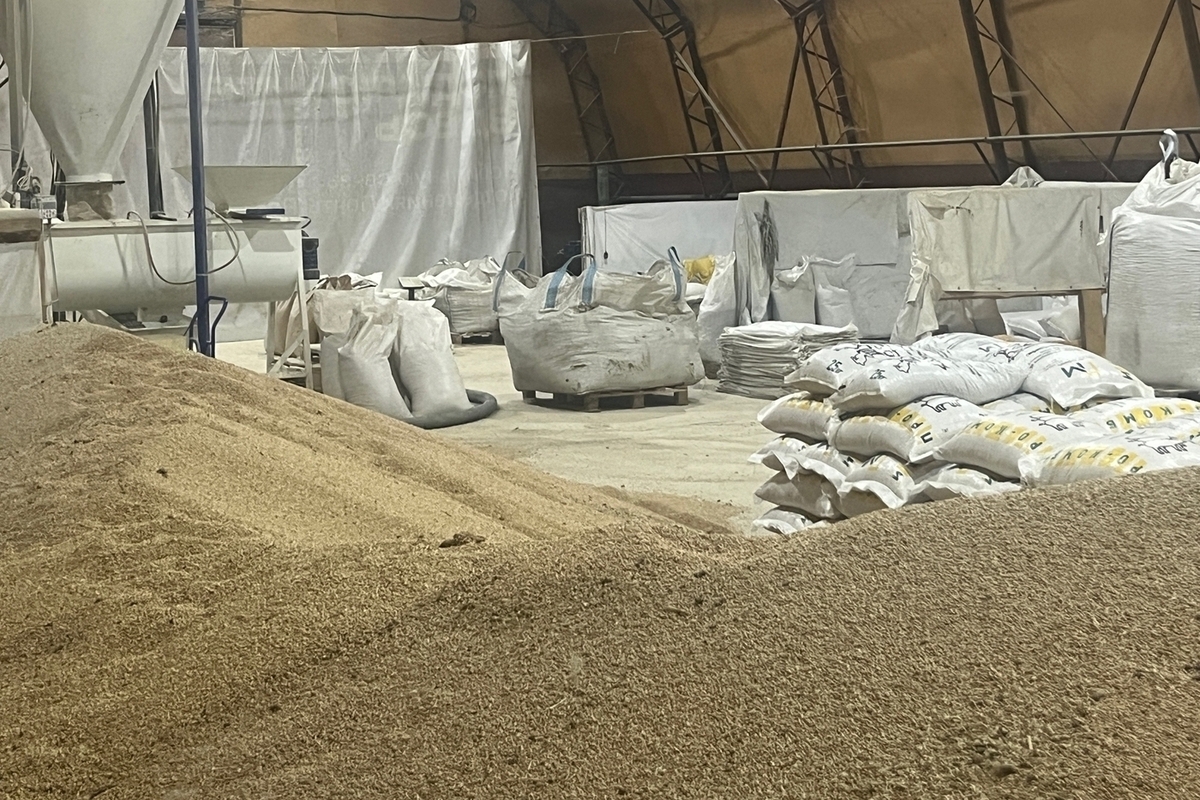 Орловщина нарастила продажи зерна внутри страны