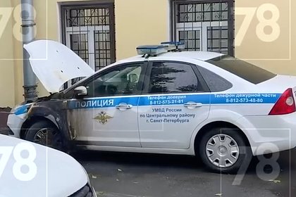 Поджигательницей полицейских машин в Петербурге оказалась 14-летняя девочка
