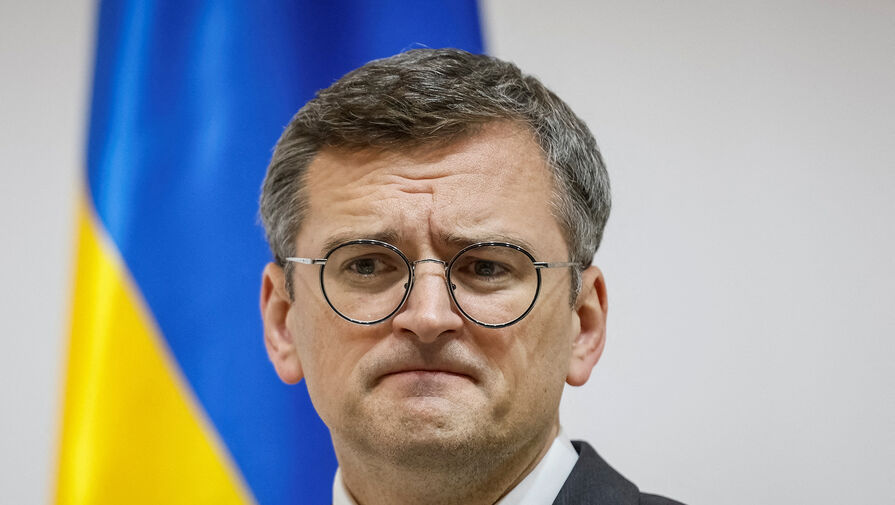 Экс-глава МИД Украины пообещал амнистию уехавшим из страны мужчинам