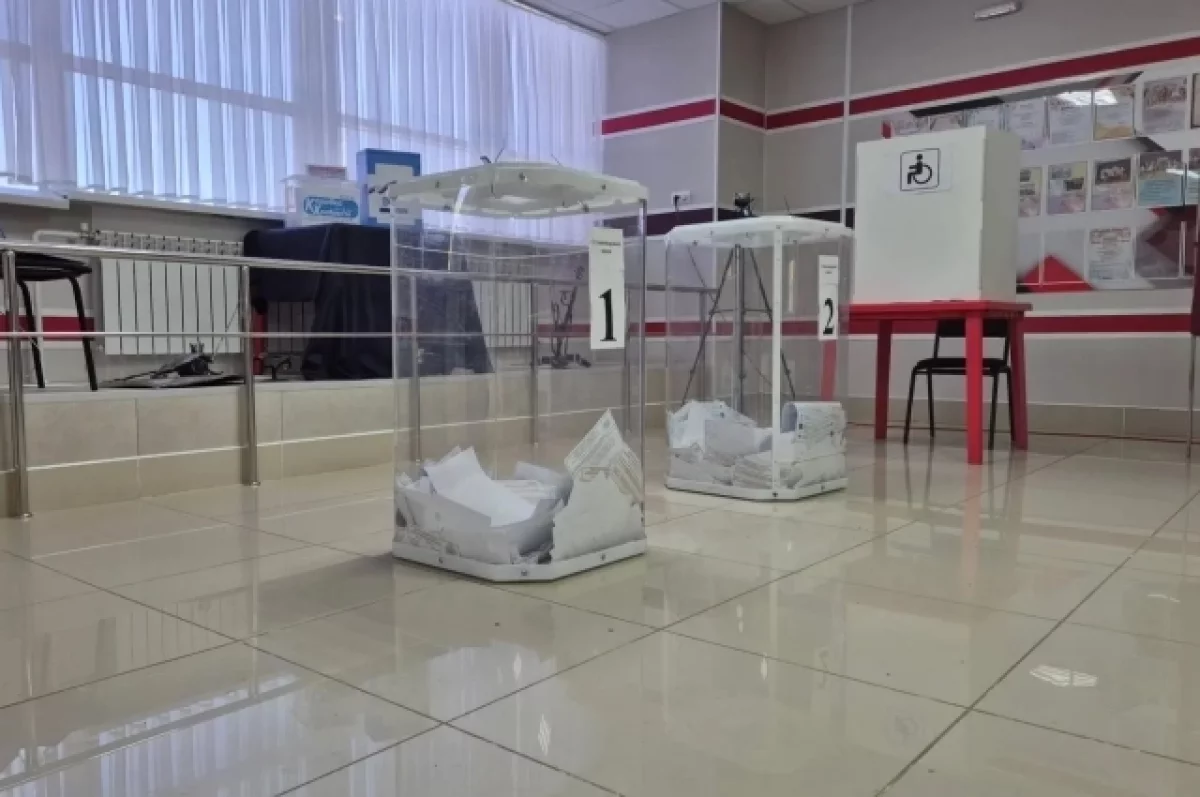 Памфилова сообщила о результатах проверки трех нарушений на выборах