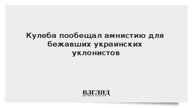 Кулеба пообещал амнистию для украинских уклонистов