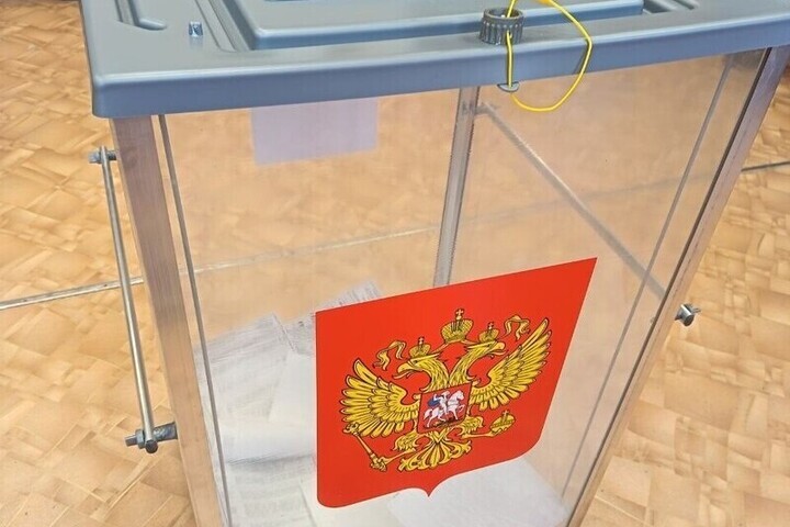 ЦИК разместил первые данные по выборам в Госдуму 2026 года в Самарской области