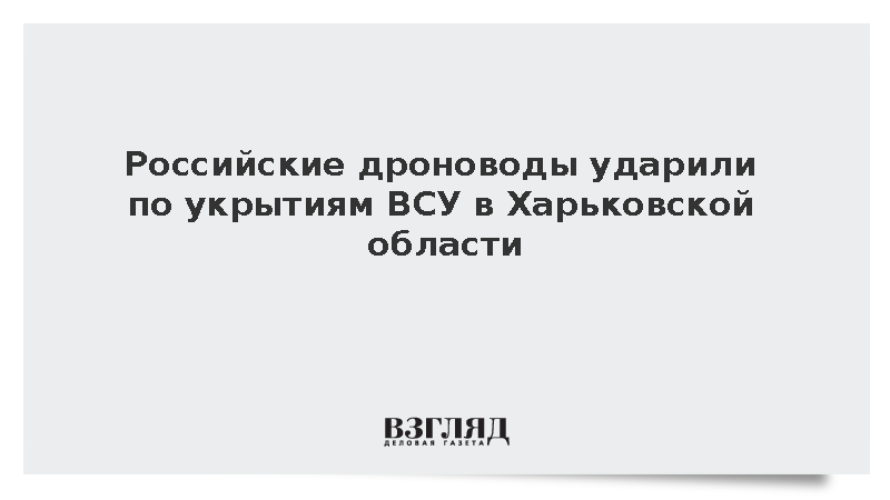 Российские дроноводы ударили по укрытиям ВСУ в Харьковской области