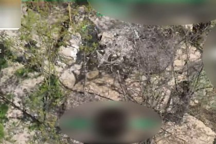 Росгвардия показала на видео уничтожение дронами замаскированной позиции ВСУ