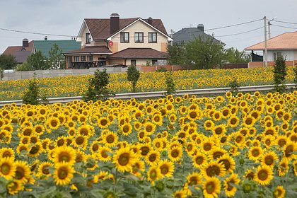 Владельцев земли в России предупредили о новых рисках
