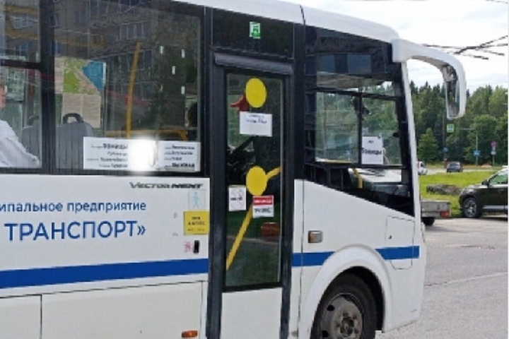 В Петрозаводске водитель маршрутки поднял руку на школьника