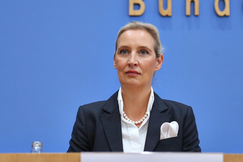 Назван единственный фактор, который помешает АдГ прийти к власти в ФРГ