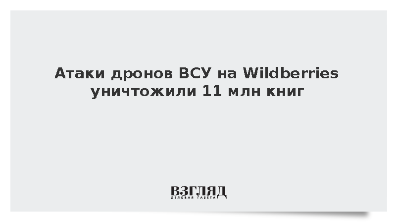Атаки дронов ВСУ на Wildberries уничтожили 11 млн книг
