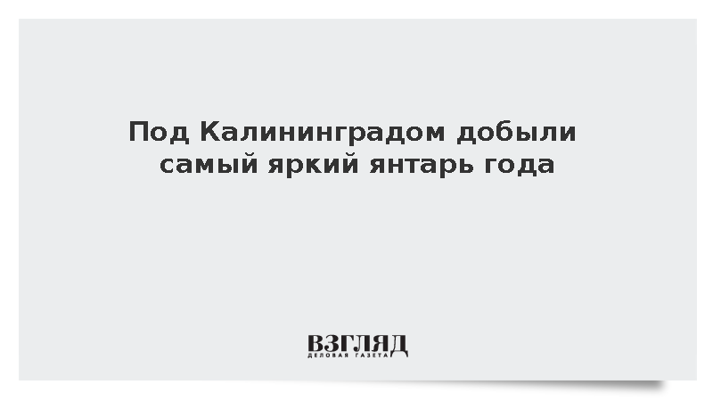 Под Калининградом добыли уникальный янтарь возрастом 40 млн лет