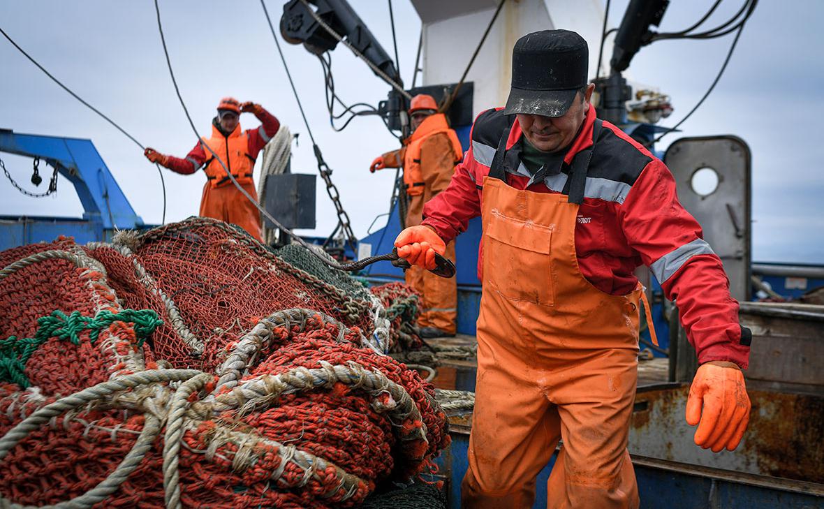Россия увеличила экспорт рыбы в Китай на 19% за восемь месяцев