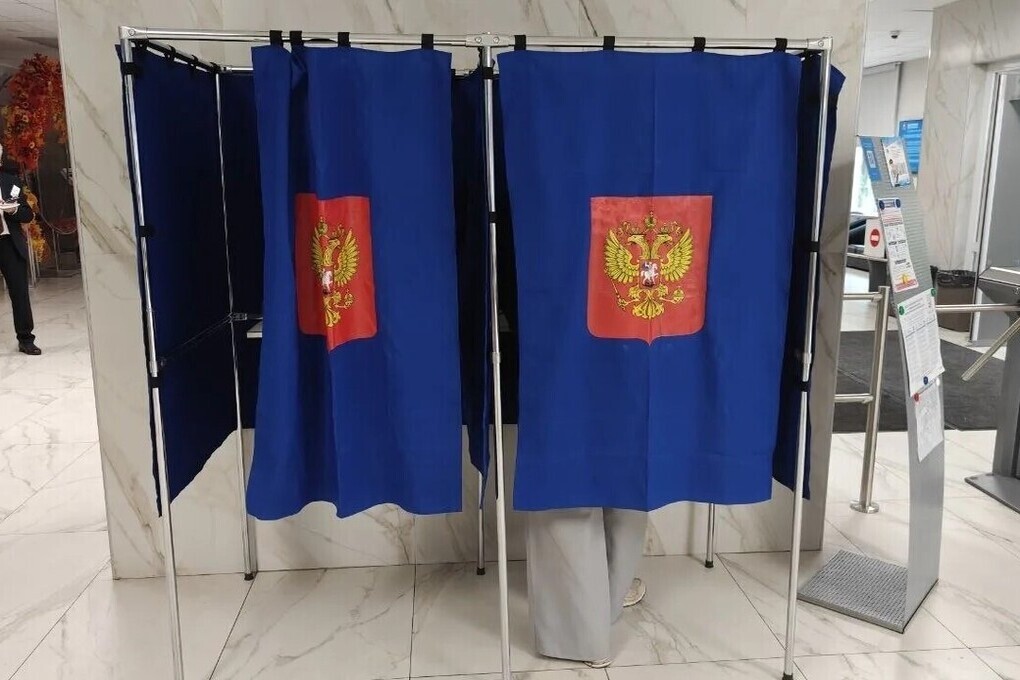 Козлов и Оргеева лидируют на выборах в Госдуму в Калининградской области