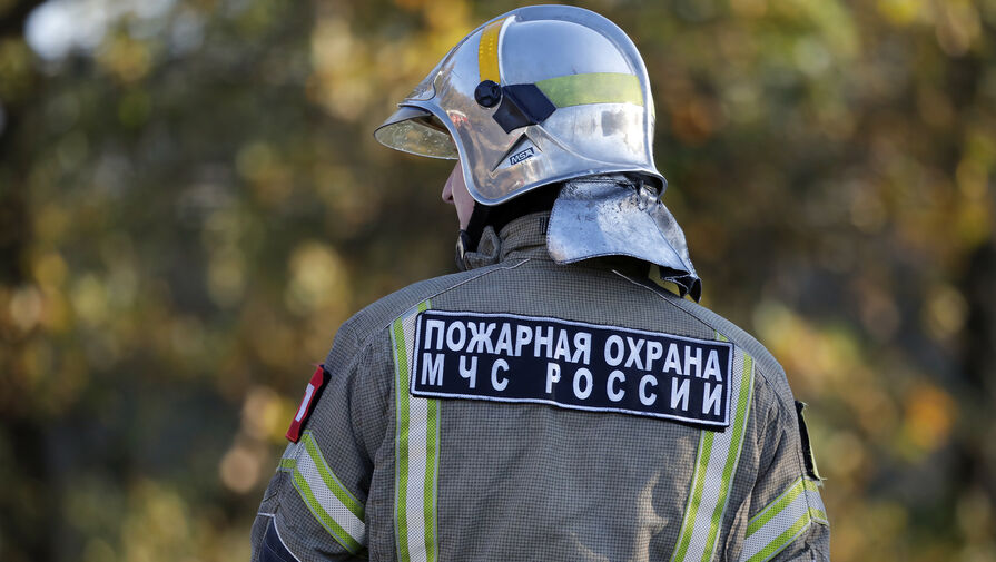 Площадь пожара в Щелково увеличилась до 7 тыс. кв. м