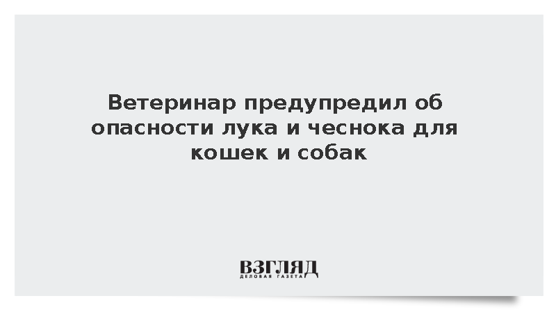 Ветеринар предупредил об опасности лука и чеснока для животных