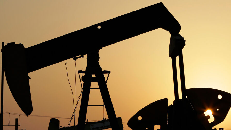 Минприроды отчиталось о перспективах добычи шельфовой нефти в 2026 году