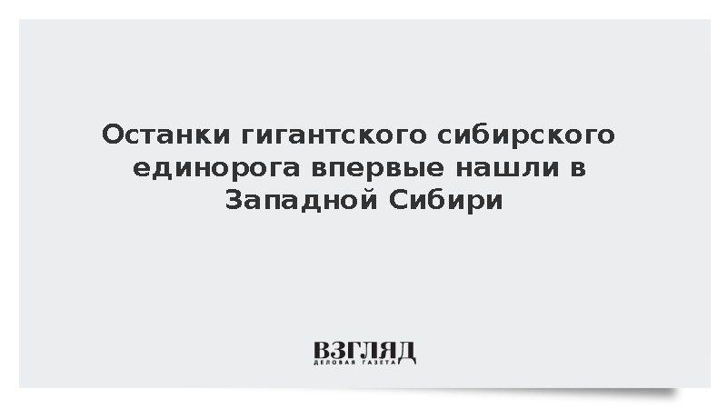 Останки гигантского носорога впервые нашли в Западной Сибири