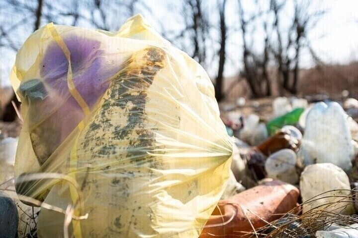 В Самарской области с участка убрали незаконную свалку строймусора