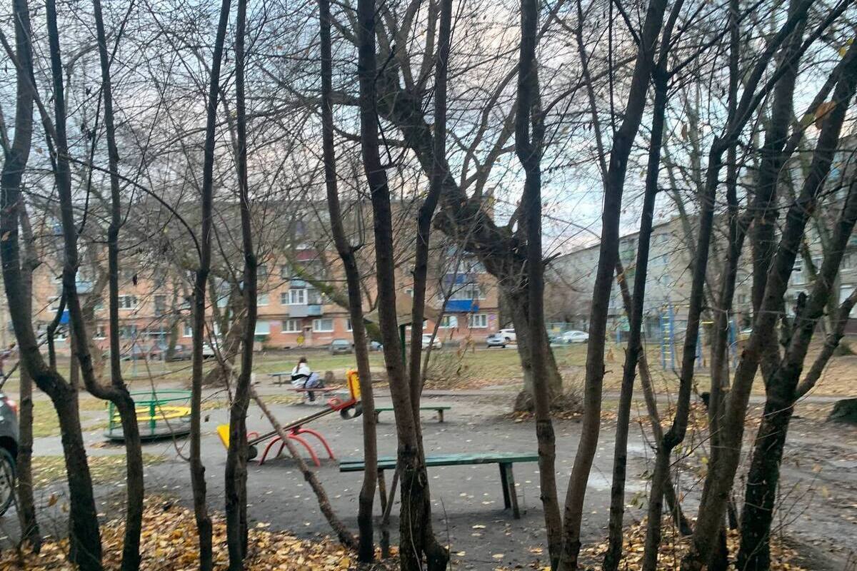 Синоптики пообещали в Пензе до +25 градусов во вторник, 22 сентября
