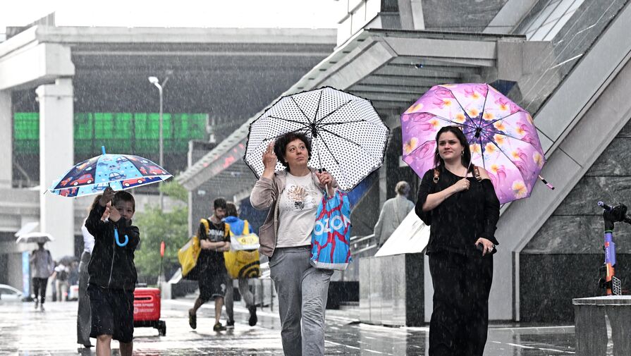 Синоптик ответил, какие осадки ожидаются в Москве на неделе
