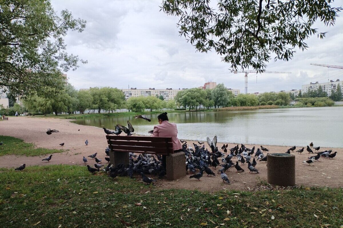 В Ленобласти воздух прогреется на 1 градус выше, чем в городе на Неве 22 сентября