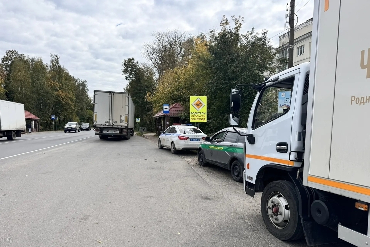 В Нижегородской области изъяли 18 тонн мяса и молока без документов