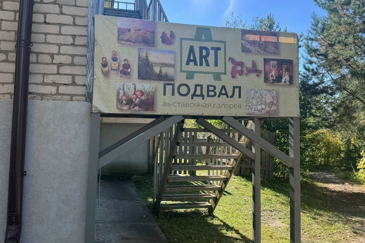 Костромские выставки: в Кологривской детской школе искусств заработал «Арт-подвал»