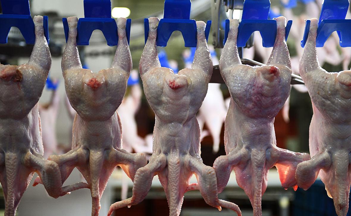 Куриное мясо в России подорожало более чем на 15% за год