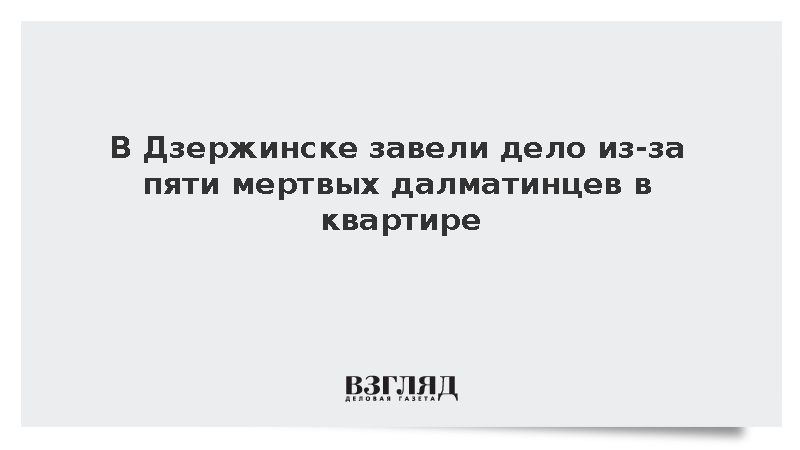 В Дзержинске завели дело из-за пяти мертвых далматинцев в квартире