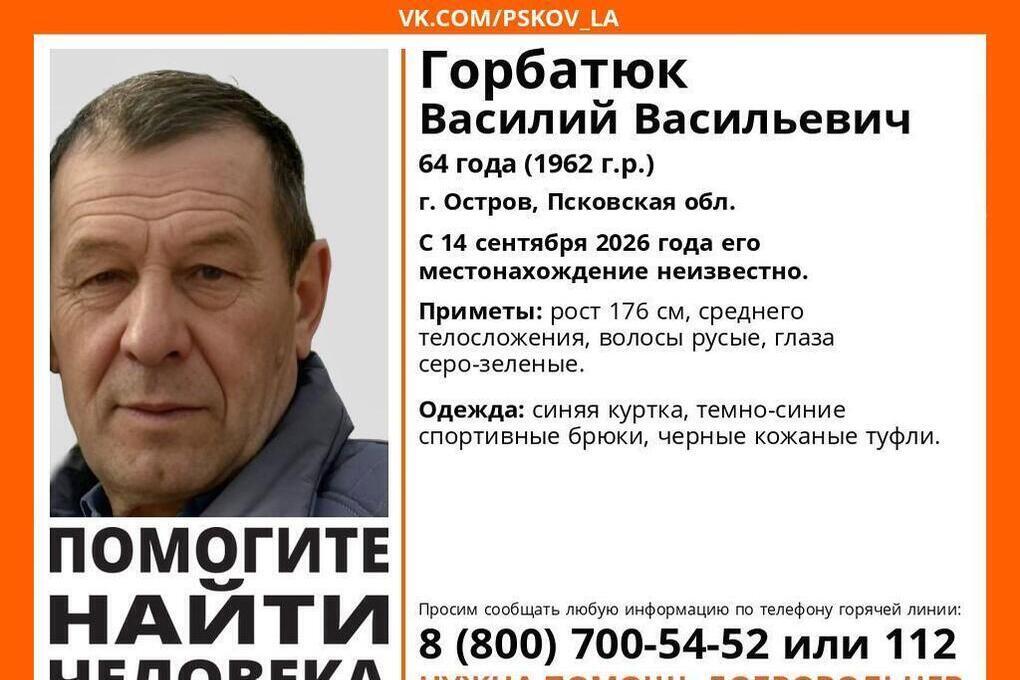 В Острове волонтеры «ЛизыАлерт» ищут пропавшего 64-летнего мужчину