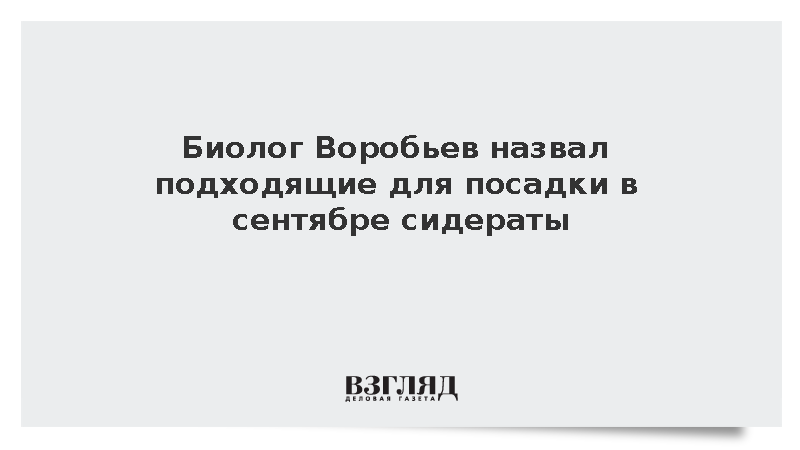 Биолог Воробьев посоветовал посеять овес и белую горчицу до конца сентября