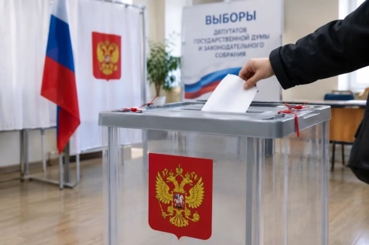 В ЦИК озвучили данные о явке избирателей на выборах в Госдуму РФ