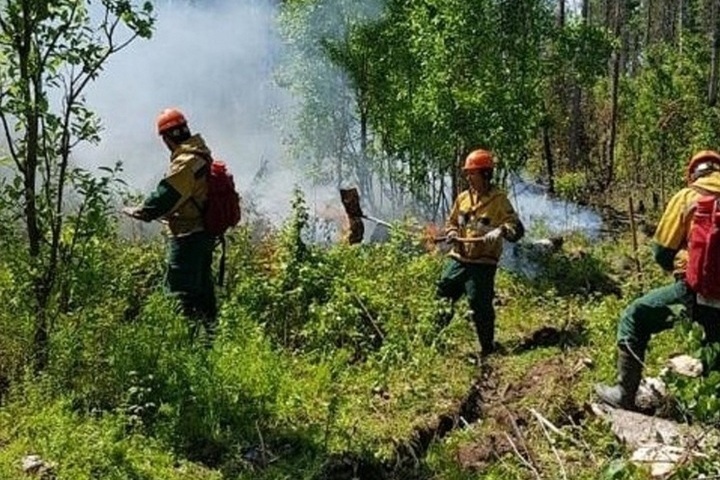 Два лесных пожара потушили в Томской области за минувшие сутки