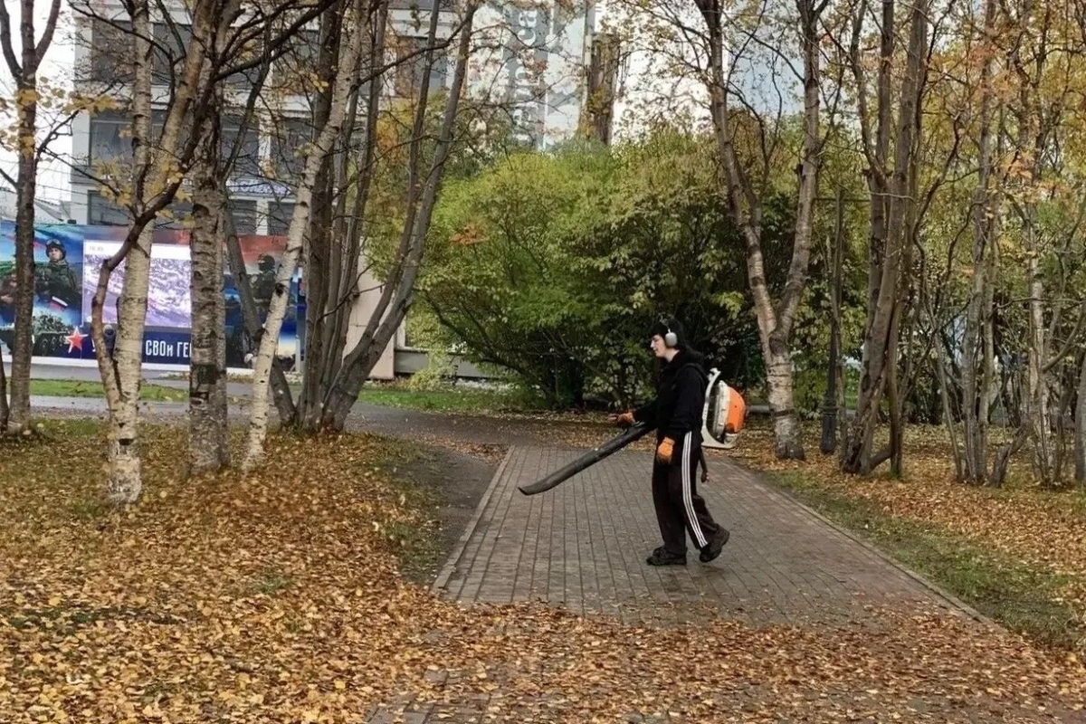 Лебедев рассказал, как чистили от листьев дорогу в Центральном сквере и Дворце культуры